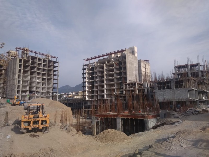 Progress Update - January-2019